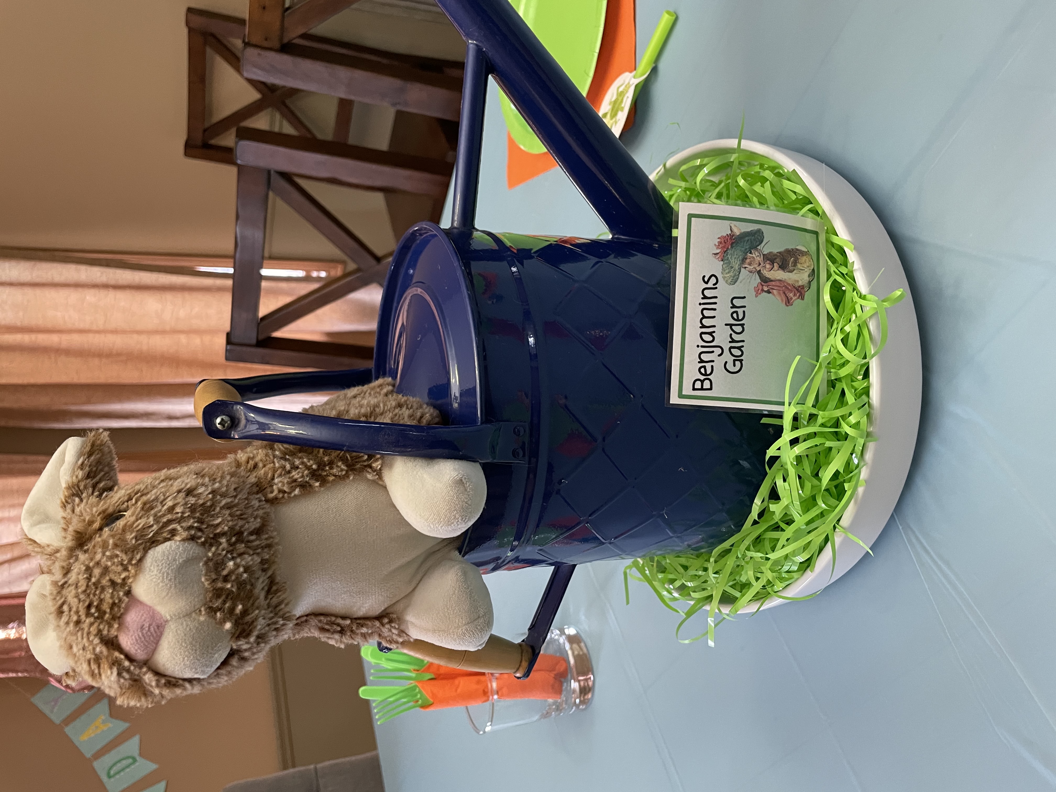 peter rabbit party decorations