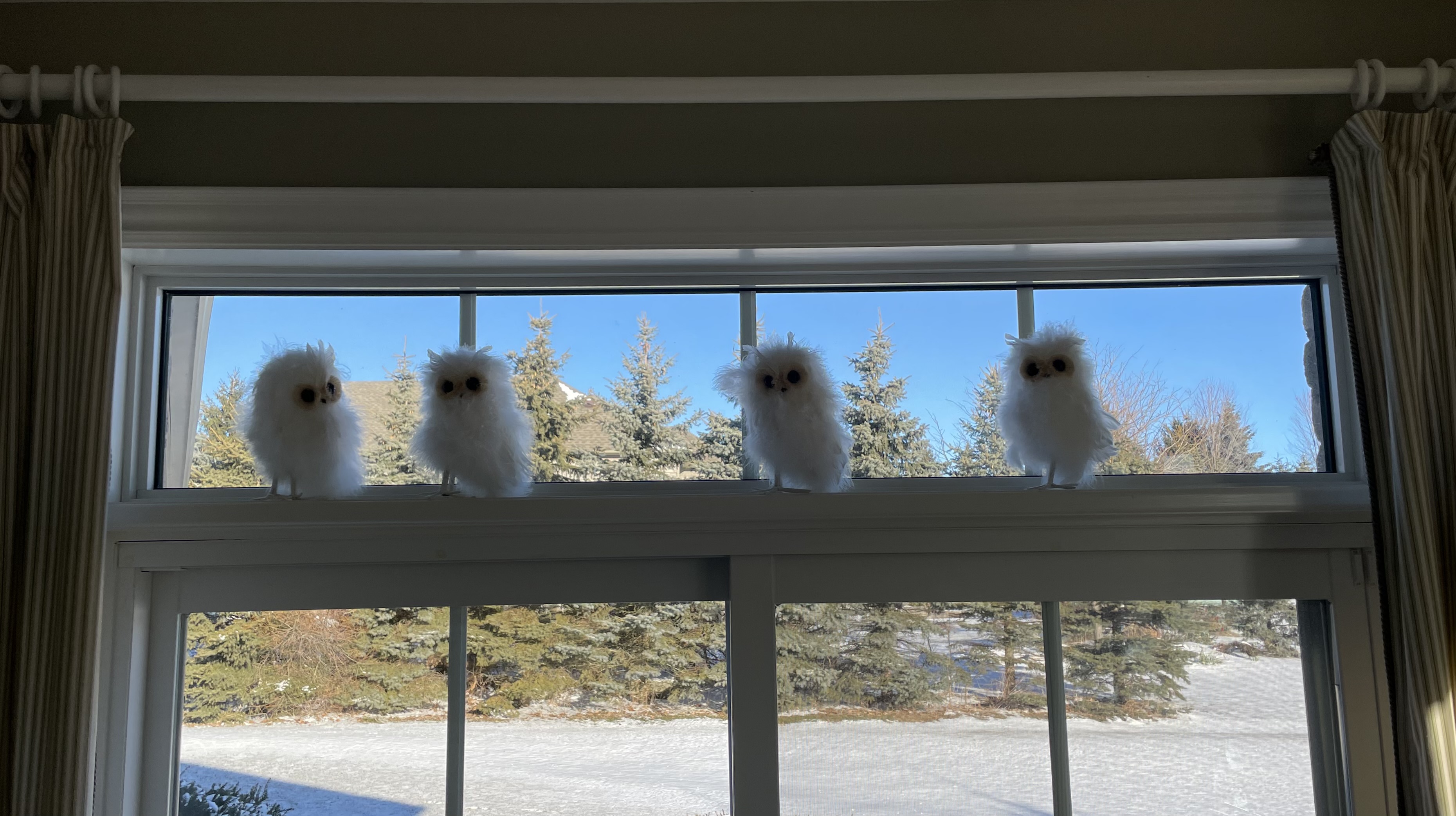 multiple owls party decor