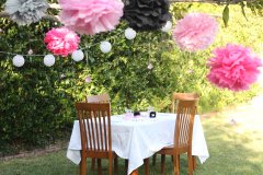 bunco party outside decorations